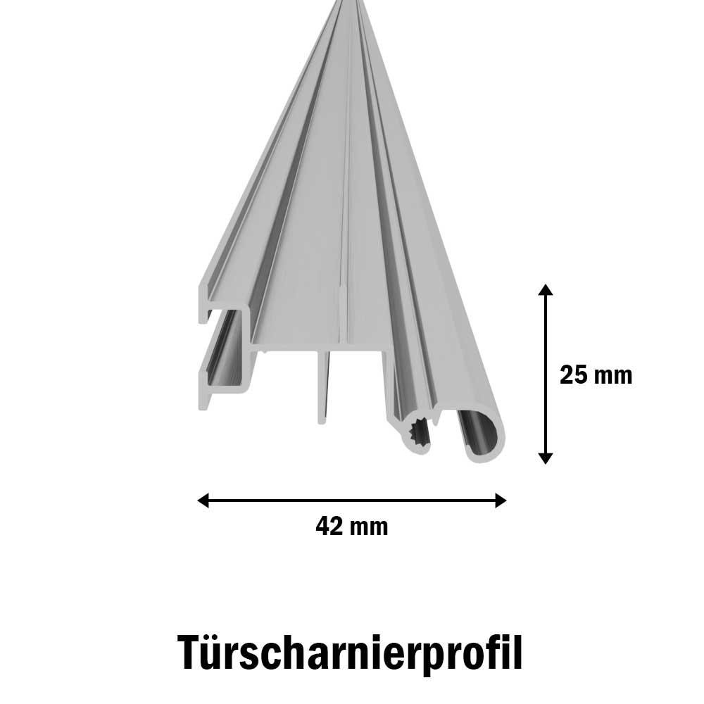T_rscharnierprofil