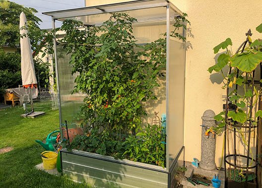 Kundengalerie Tomatenhäuser